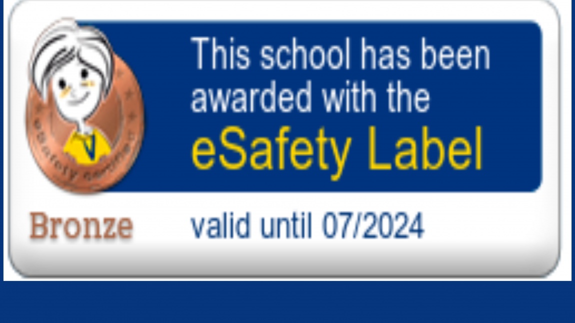 eSafety Label Bronze Etiketimiz